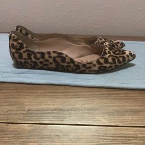 Leopard pointed toe flats